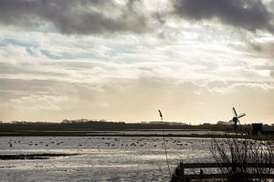 See mit Mühle auf Texel