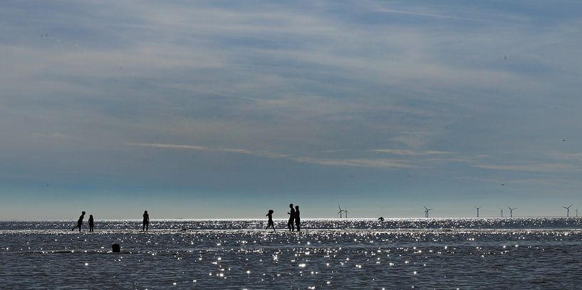 beach by Marieke Funke