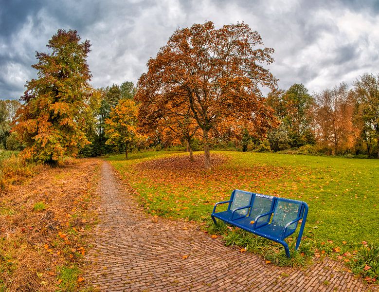 Bank im Park von Rosarium von peterheinspictures