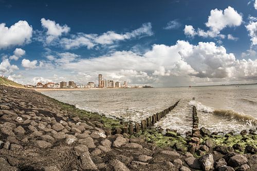 Flushing boulevard by Andy Troy