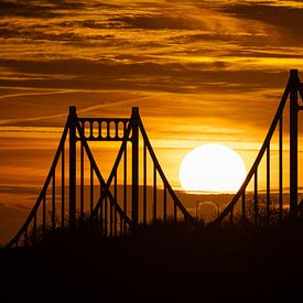 Krefeld-Uerdingerbrug, Nederrijn, Duitsland van Alexander Ludwig