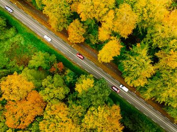 Road through an autumn forest with colorful leaves seen from abo by Sjoerd van der Wal Photography