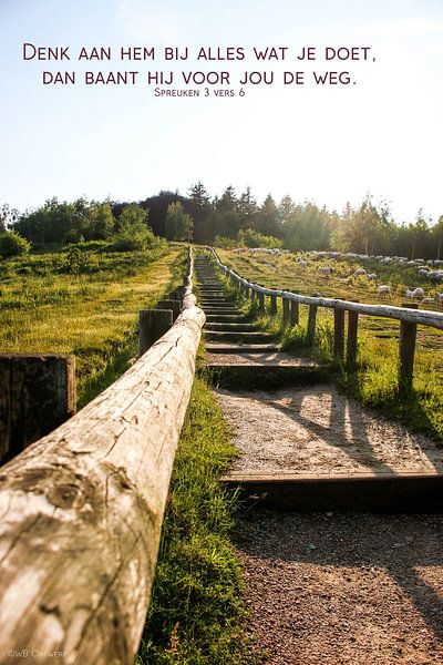 Bible text Proverbs 3 verse 6 e.g. by Wilma Meurs