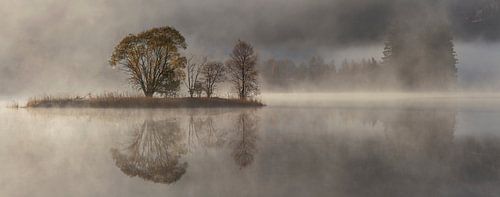 Octobre matin, Rune Askeland