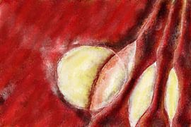 Erster Kontakt von Nelson Guerreiro