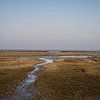 Uithuizer Wad, Groningue (4) sur Bo Scheeringa Photography
