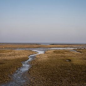 Uithuizer Wad, Groningen (4) von Bo Scheeringa Photography
