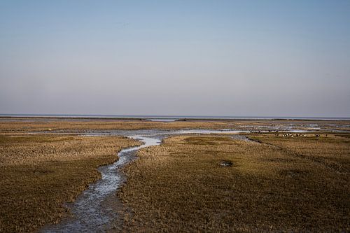 Uithuizer Wad, Groningue (4) sur Bo Scheeringa Photography