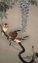 Ring sparrows at wisteria, Ohara Koson