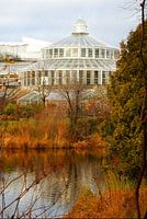 View to the Palm House Copenhagen