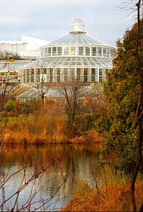 Blick auf das Palmenhaus Kopenhagen