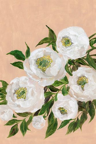 Evadne pioenrozen in koraal