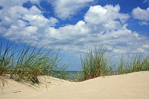 Rêve de dunes