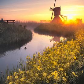 The Uitwijk Mill by Richard Nell