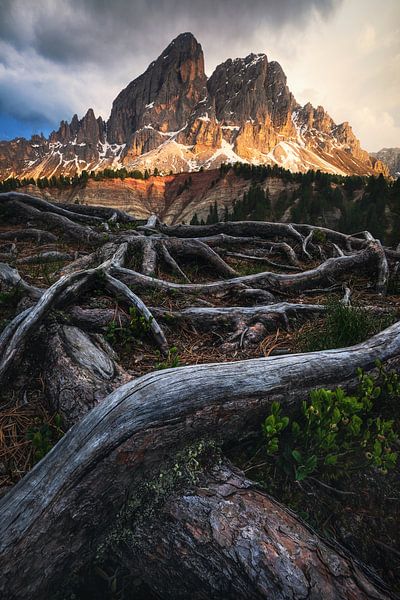 Dramatischer Sommerabend in den Dolomiten von Daniel Gastager