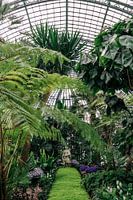 Koninklijke serres ᝢ botanische tuin Brussel België ᝢ planten bloemen