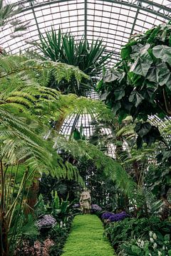 Koninklijke serres ᝢ botanische tuin Brussel België ᝢ planten bloemen van Hannelore Veelaert