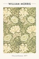 Chrysantheme