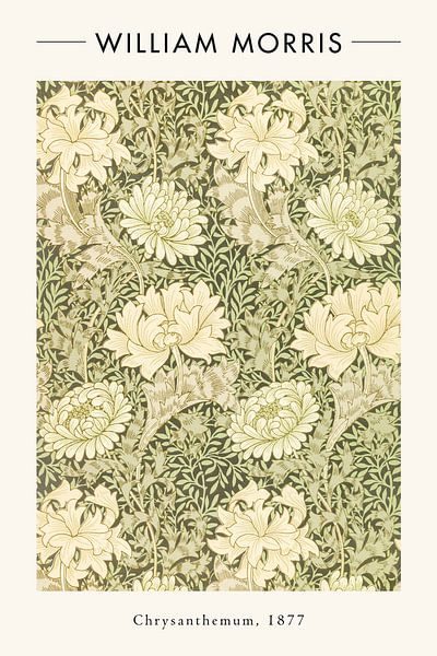 Chrysanthemum by Walljar