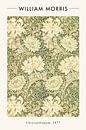 Chrysanthemum by Walljar thumbnail