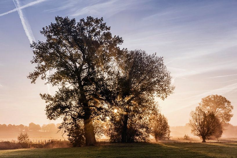 Zonsopkomst Geuldal van Rob Boon