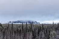 Somewhere a mountain in Lapland by Debby de Graaff thumbnail