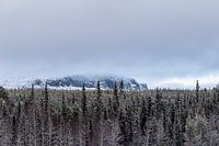 Somewhere a mountain in Lapland