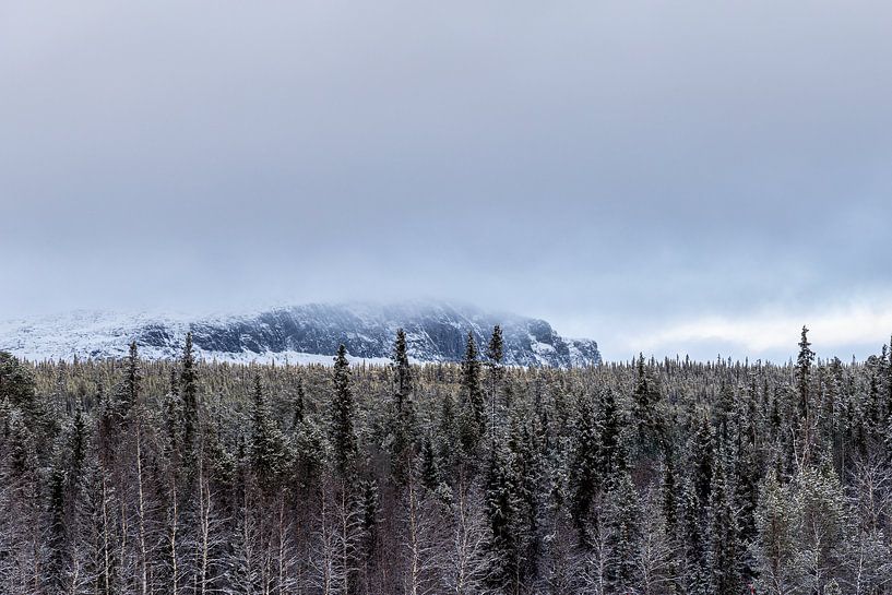 Somewhere a mountain in Lapland by Debby de Graaff