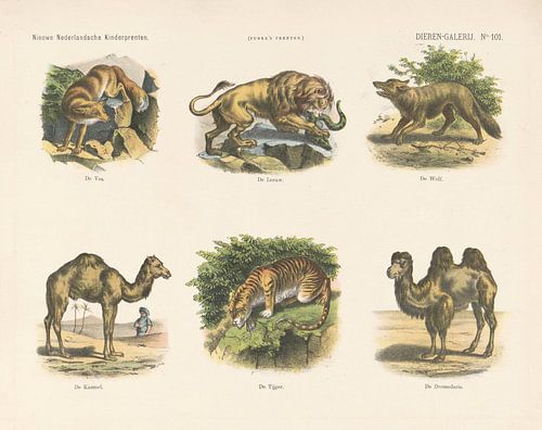 Dieren-galerij van Jan de Haan, 1875 - 1903