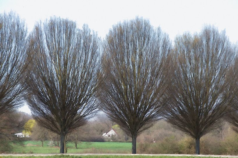 Paysage de l'arbre du canal par Edgar Schermaul