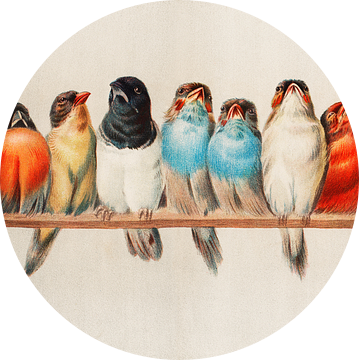 Een Vogelbok, Hector Giacomelli (Digitaal verbeterd)