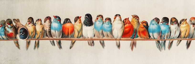 Ein Barsch von Vögeln, Hector Giacomelli (Digitalisiert) von Meesterlijcke Meesters