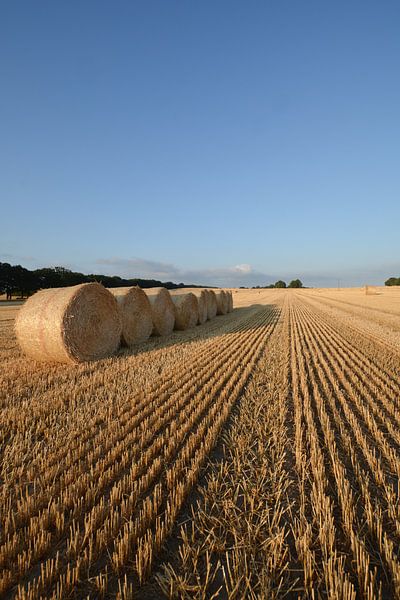Feld mit Strohballen bei Nadelitz von GH Foto & Artdesign