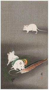 Ohara Koson - Pfauenfeder und weiße Mäuse (bearbeitet)