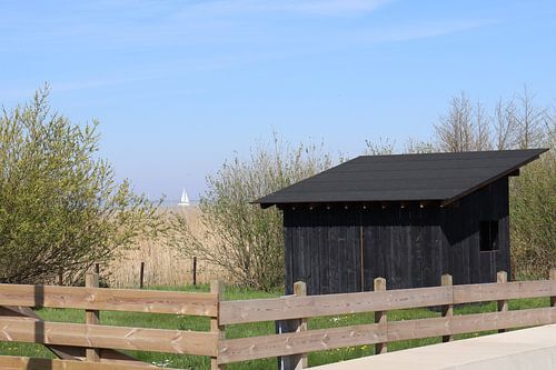Segelboot auf dem IJsselmeer