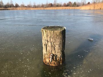 Paal in het ijs bij Heeresmeer by Martin Imminga