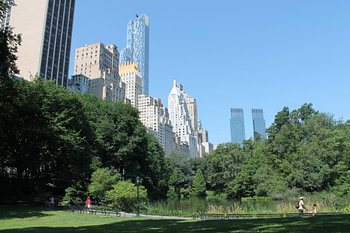 Central Park (NY)