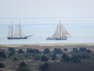 Bruine vloot Terschelling van Maja van Eijndthoven