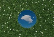 Ronde spiegel weerspiegelt witte enkele wolk en ligt op groene weide omringd door madeliefjes van Besa Art thumbnail