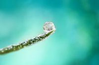 Cold as ice