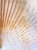 detail shot of a tubeworm