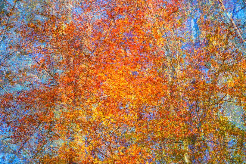 L'heure d'automne par Thomas Jäger
