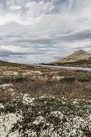 Ein einsamer Weg durch die Tundra von Rondane, Norwegen von Dylan Winter Visuals