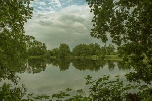 natuurgebied Leuringsveld von anne droogsma