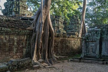 Ta Phrom tempelruïnes, Angkor regio, Cambodja van Peter Schickert