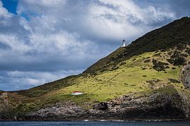 Cape Brett von DVF Fotografie