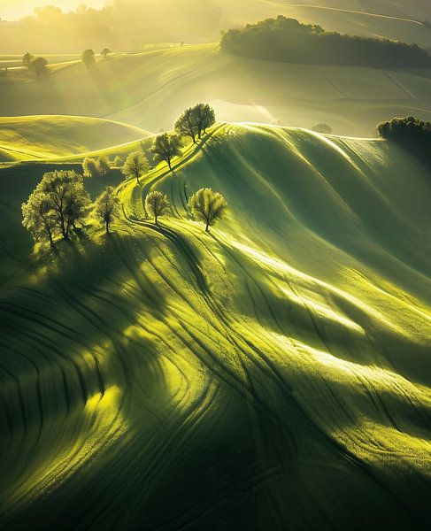 Frühlingsstimmung von fernlichtsicht