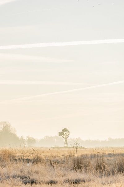 Schöner Morgen mit Sonnenaufgang von Lydia