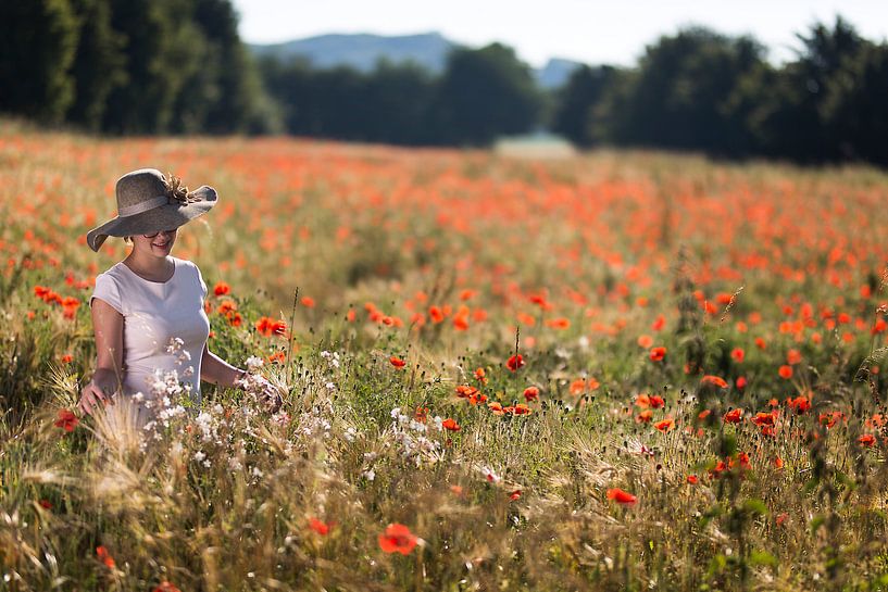 Summerfeelings by Wim Roebroek