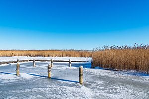 Bodden bei Ahrenshoop auf dem Fischland-Darß im Winter